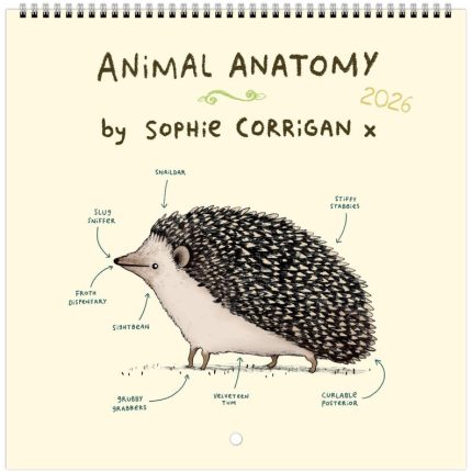 Animal Anatomy Cute Creatures 2026 Calendar